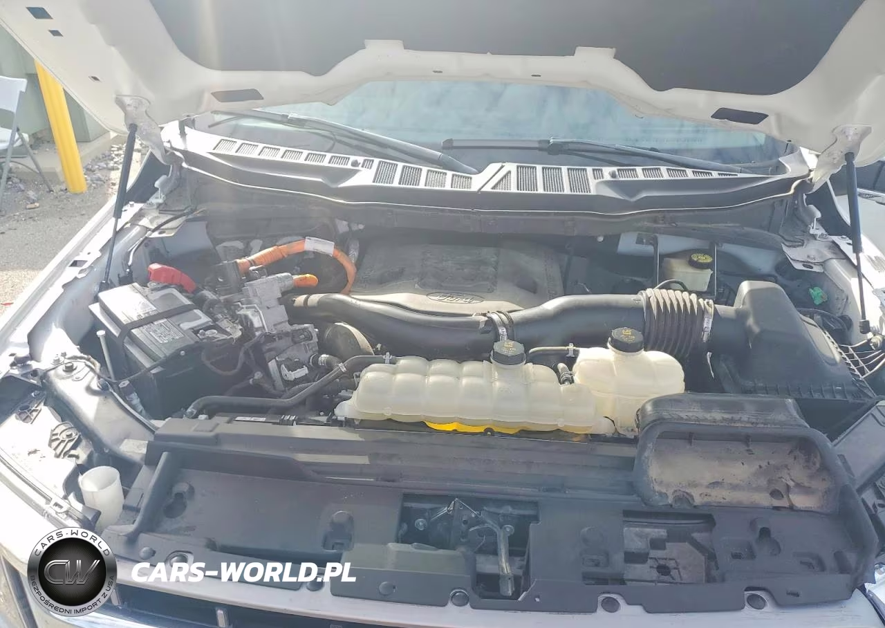 FORD F-150 VIN:1FTFW1EDXMFD08970 - 11