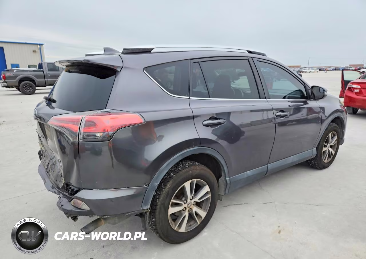 2016 Toyota Rav4 Xle VIN:2T3RFREV7GW445596 - 3