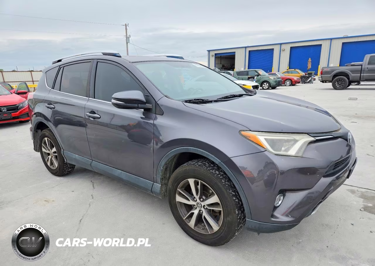 2016 Toyota Rav4 Xle VIN:2T3RFREV7GW445596 - 4