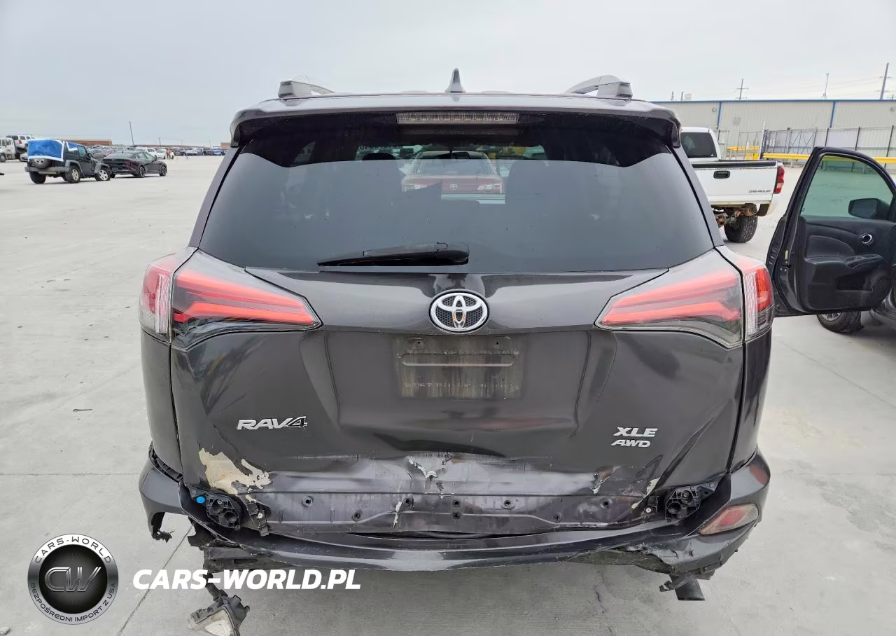 2016 Toyota Rav4 Xle VIN:2T3RFREV7GW445596 - 6