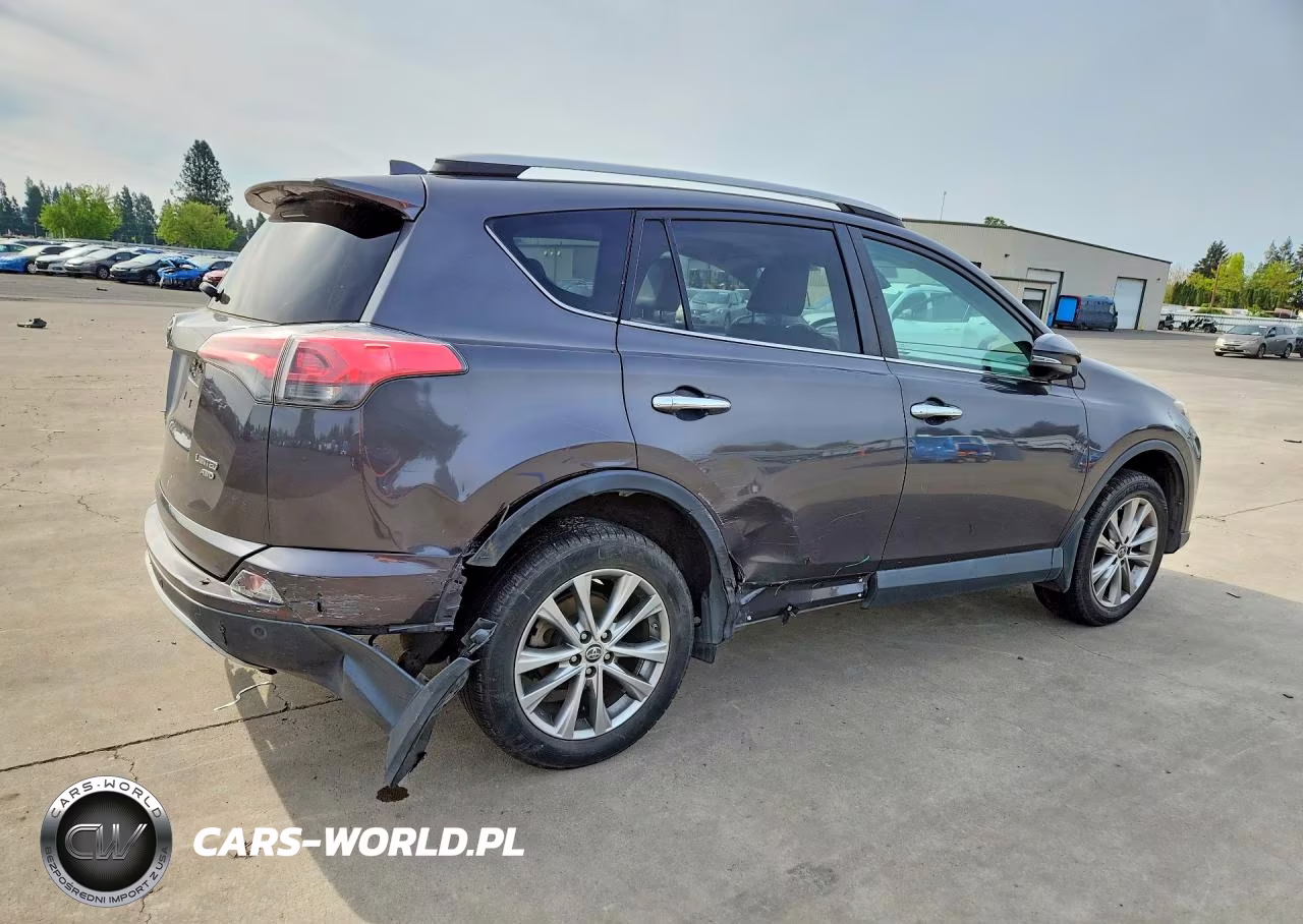2016 Toyota Rav4 Limited VIN:2T3DFREV2GW481979 - 3