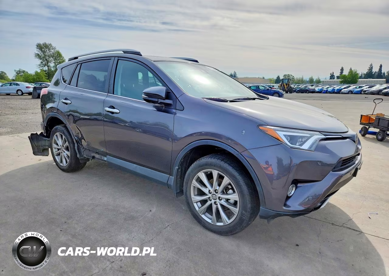 2016 Toyota Rav4 Limited VIN:2T3DFREV2GW481979 - 4