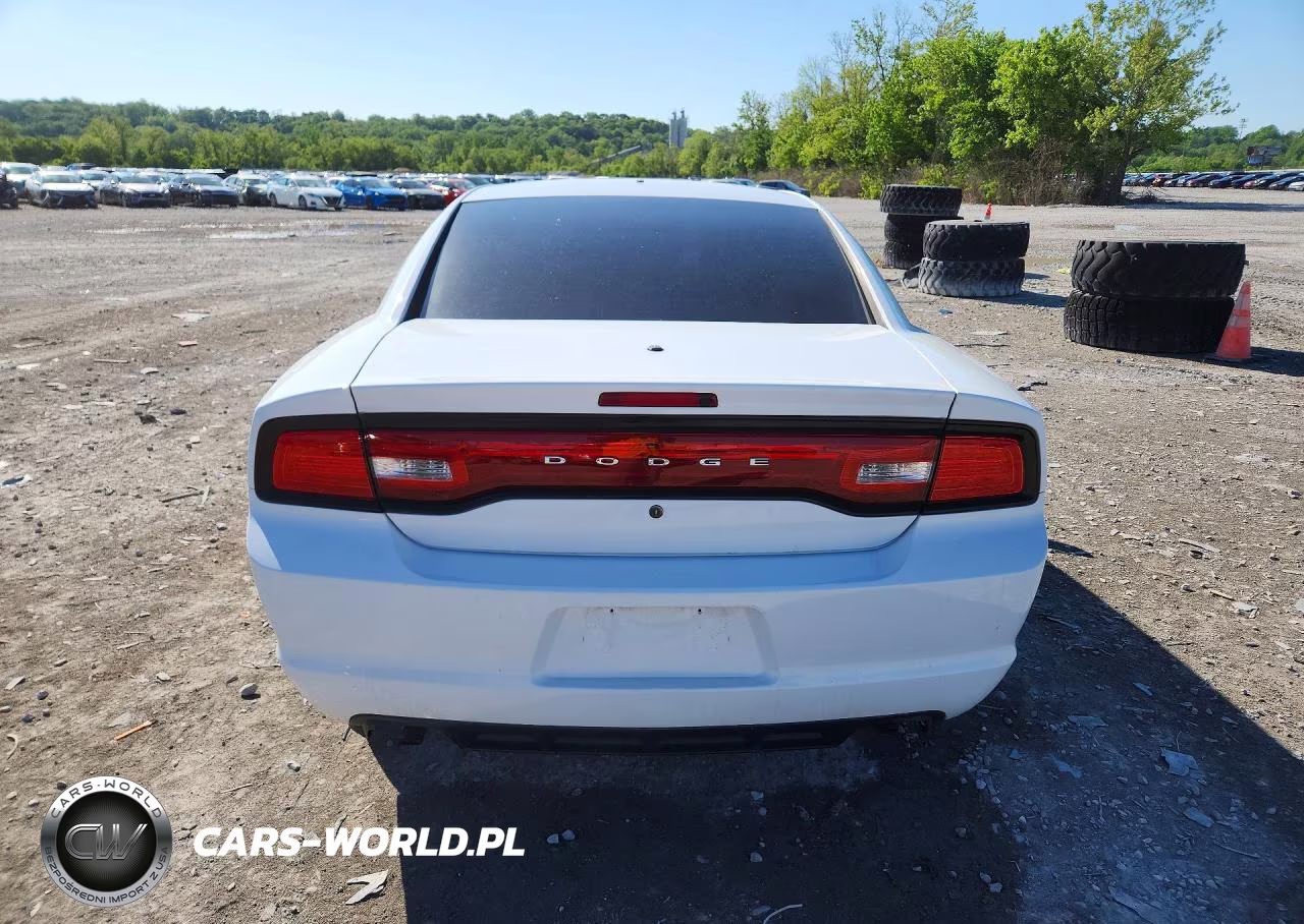 2014 Dodge Charger Police VIN:2C3CDXAG7EH264457 - 6
