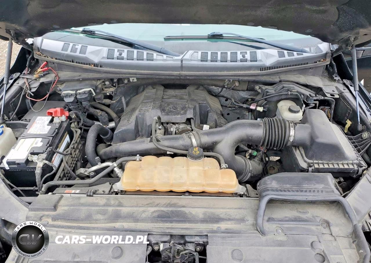 2016 Ford F150 Supercrew VIN:1FTEW1EP8GFC16766 - 11