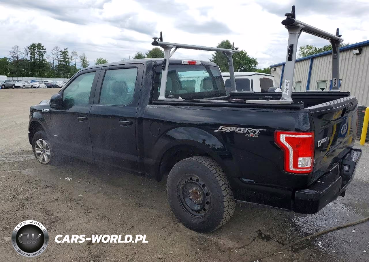 2016 Ford F150 Supercrew VIN:1FTEW1EP8GFC16766 - 2