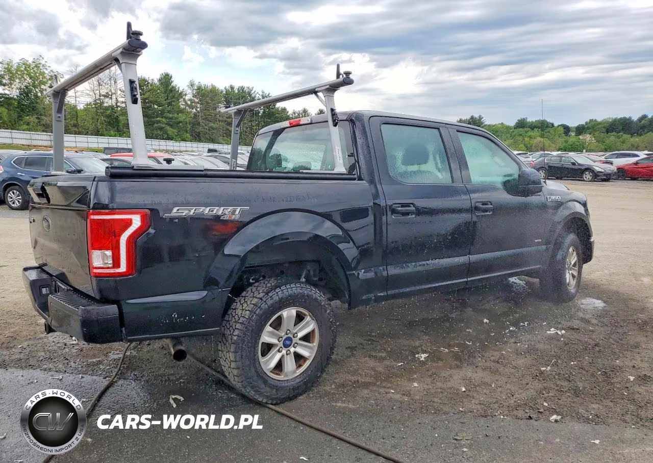 2016 Ford F150 Supercrew VIN:1FTEW1EP8GFC16766 - 3