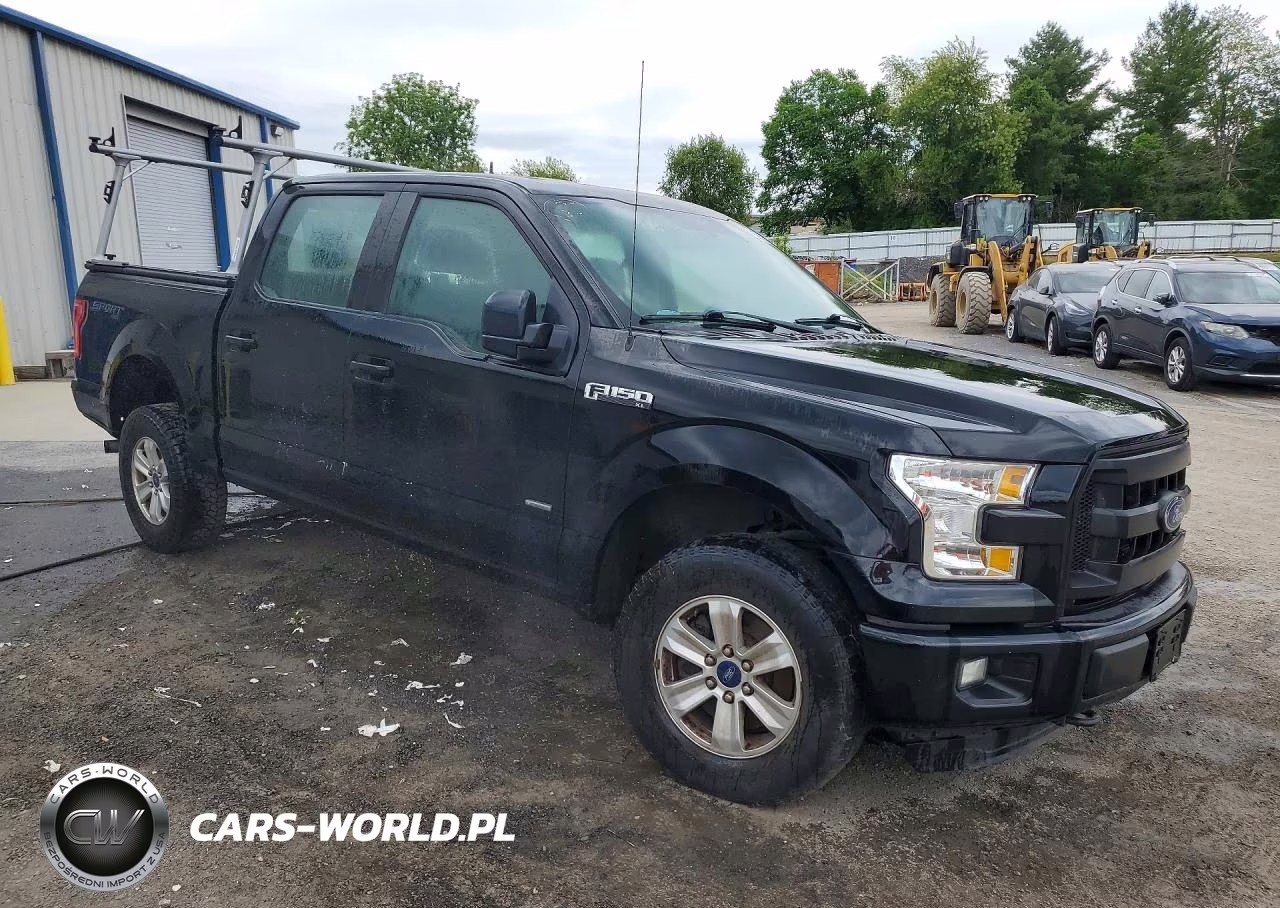 2016 Ford F150 Supercrew VIN:1FTEW1EP8GFC16766 - 4