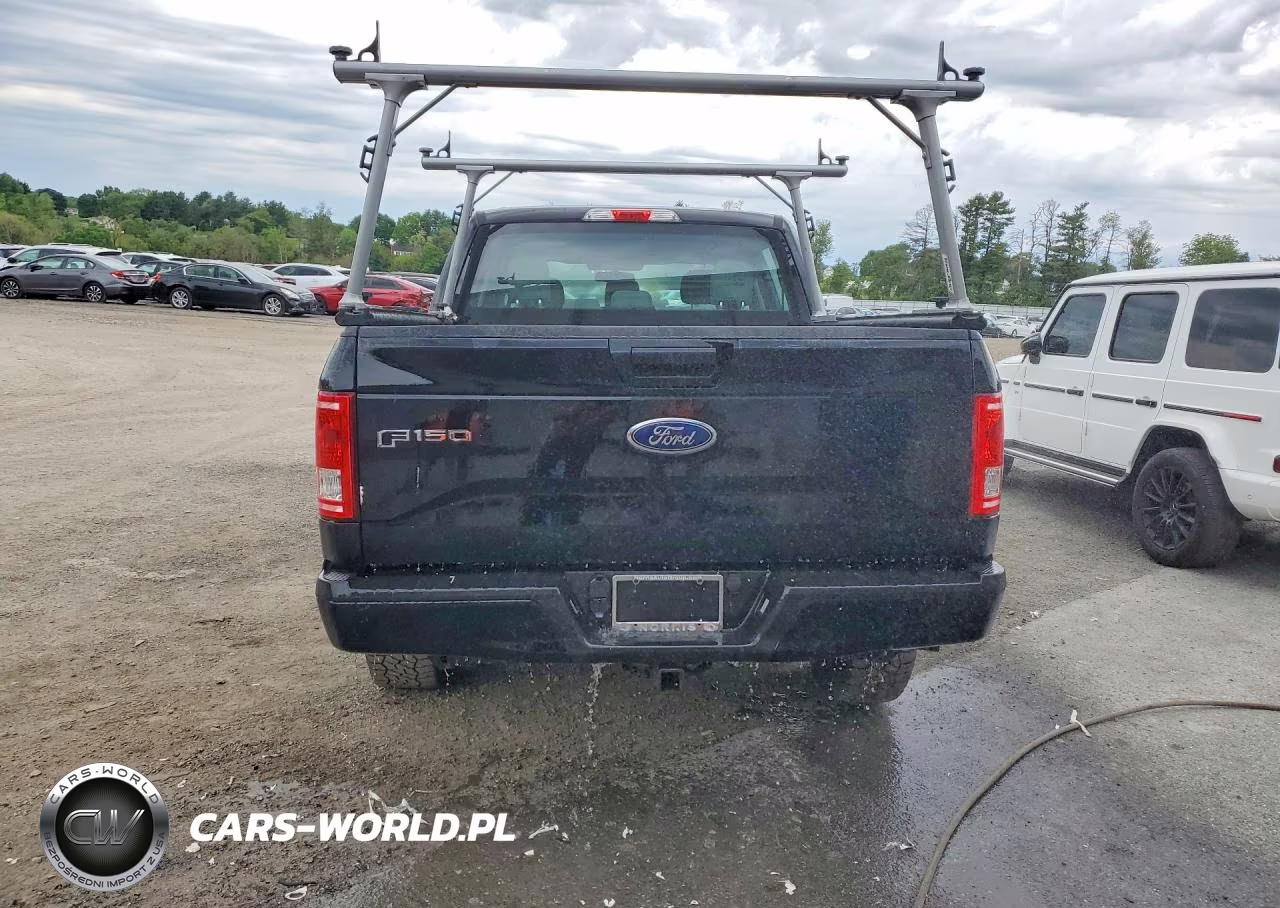 2016 Ford F150 Supercrew VIN:1FTEW1EP8GFC16766 - 6
