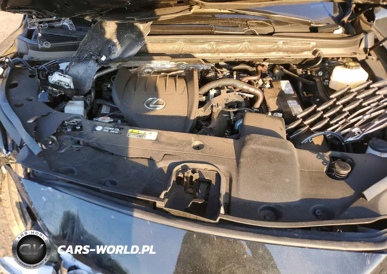 2023 Lexus Rx 350 Premium VIN:2T2BAMCAXPC029146 - 12