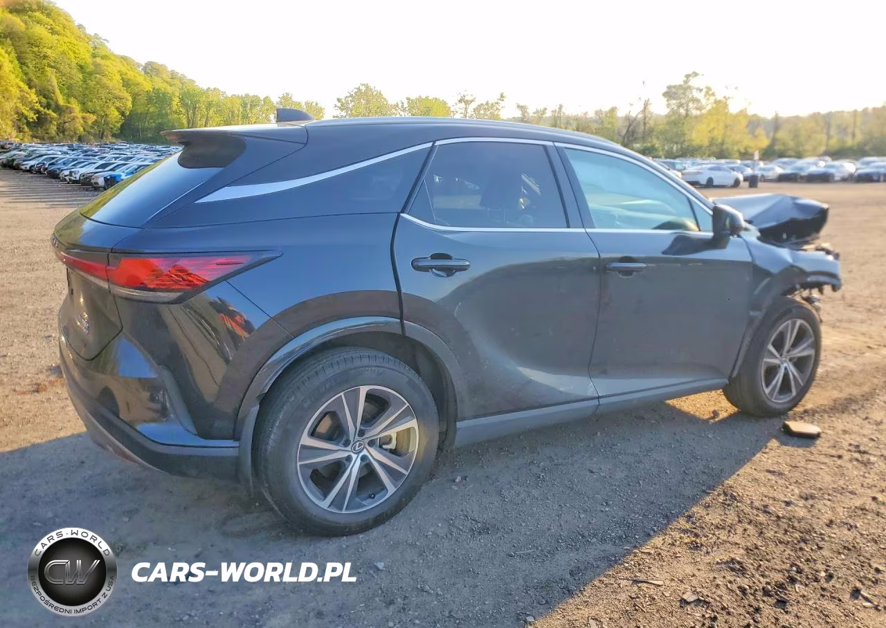 2023 Lexus Rx 350 Premium VIN:2T2BAMCAXPC029146 - 3