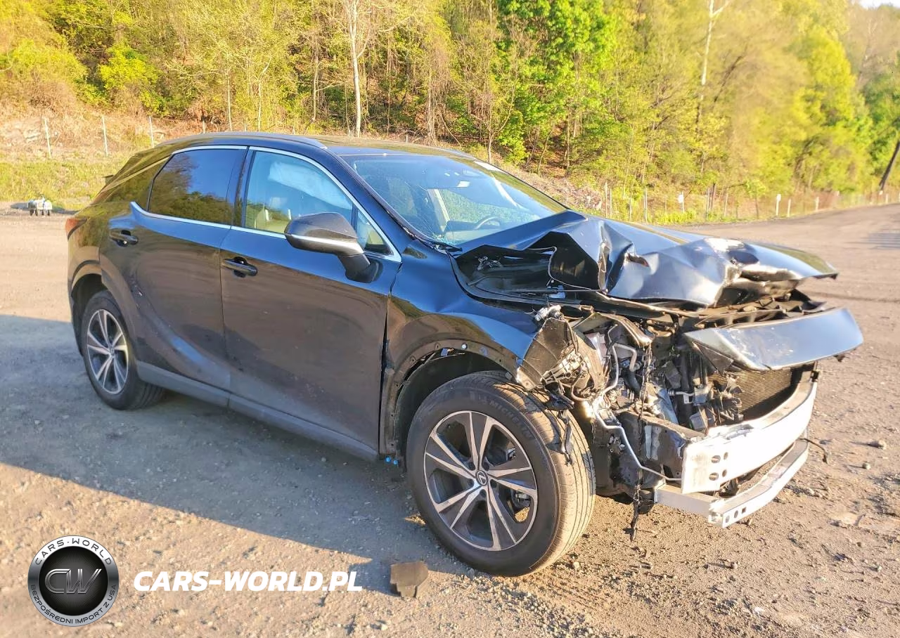 2023 Lexus Rx 350 Premium VIN:2T2BAMCAXPC029146 - 4