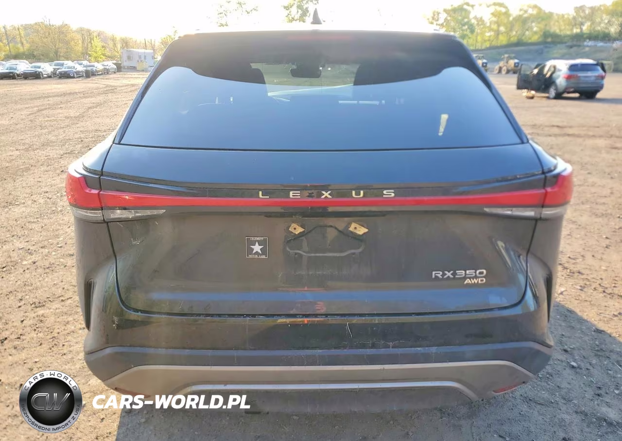 2023 Lexus Rx 350 Premium VIN:2T2BAMCAXPC029146 - 6