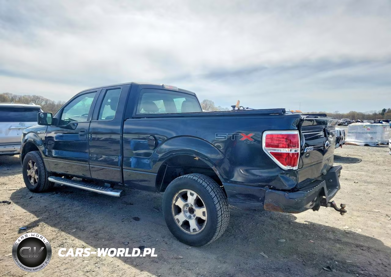 2010 Ford F150 Super Cab VIN:1FTEX1E86AFD59843 - 2