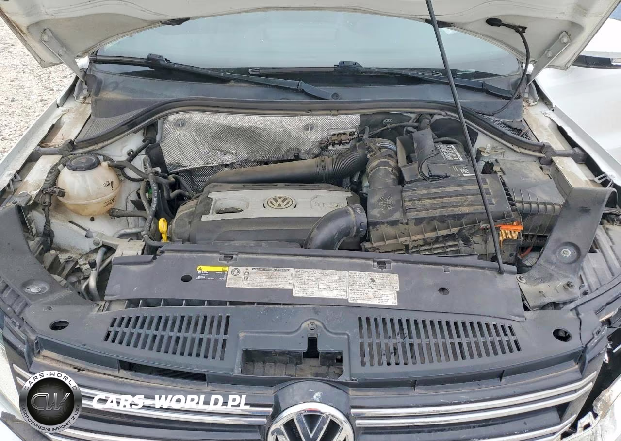 2018 Volkswagen Tiguan Limited VIN:WVGBV7AX6JK001878 - 12