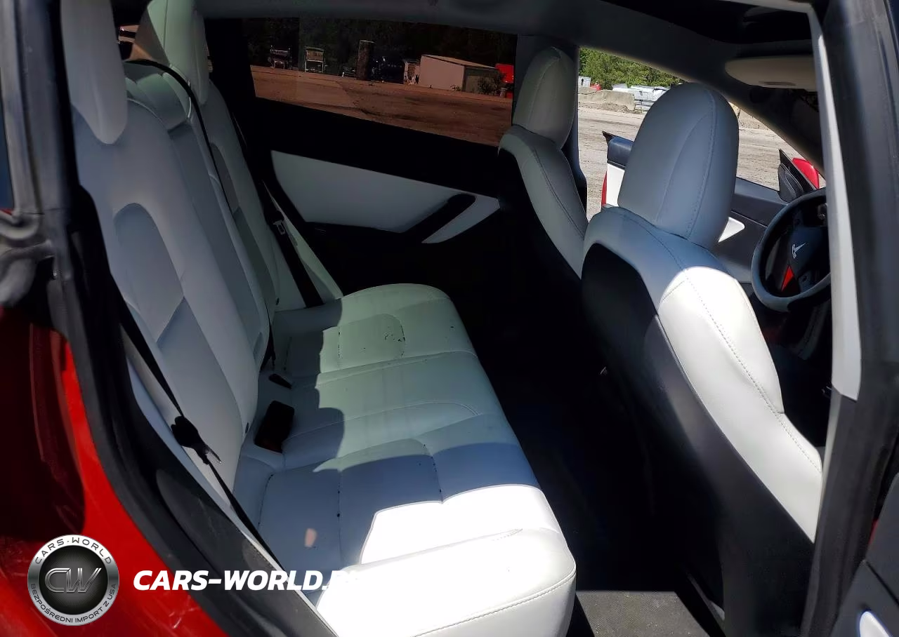 2021 Tesla Model 3 VIN:5YJ3E1EA7MF920513 - 10