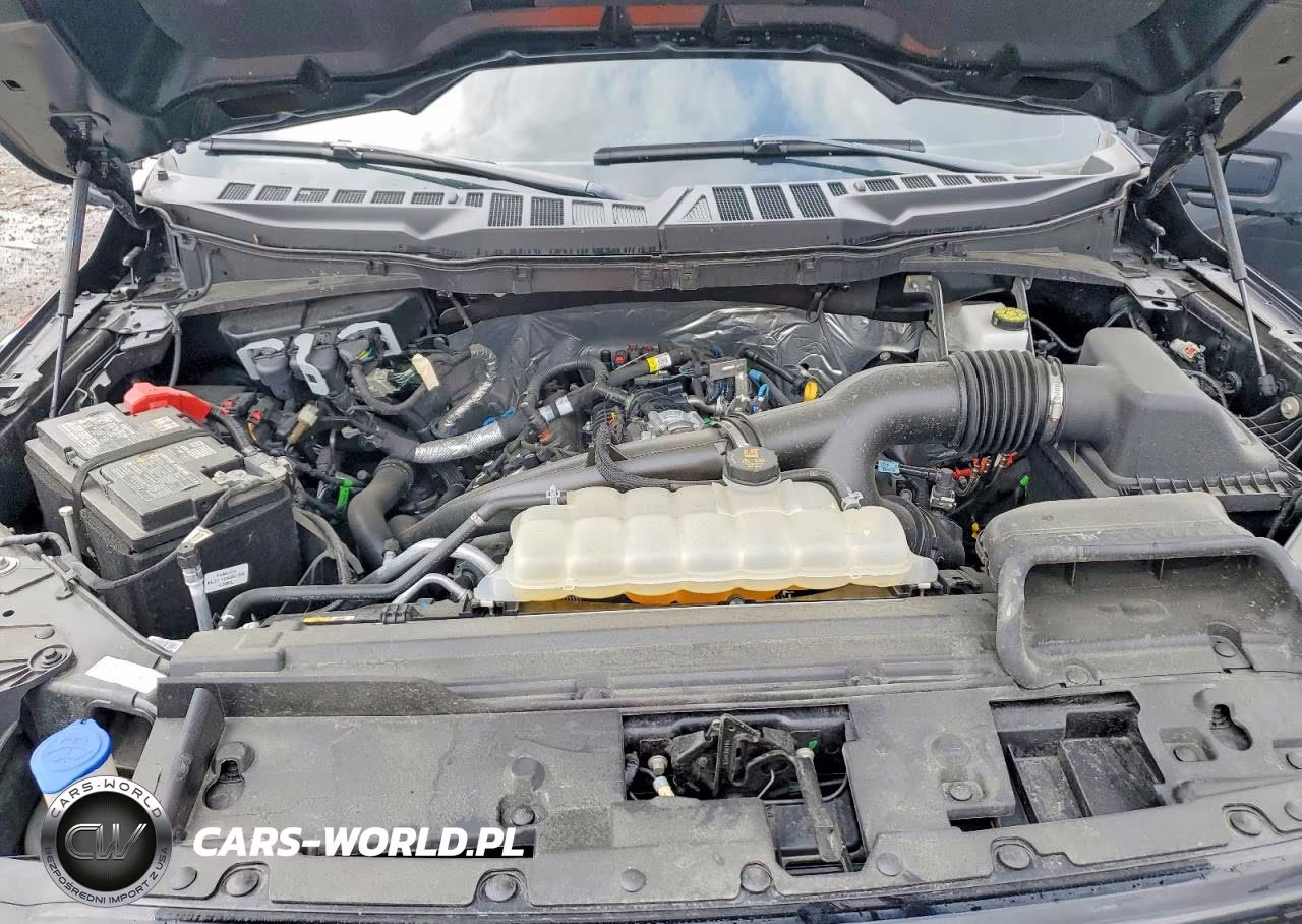2025 Ford F150 Xlt VIN:1FTEW3LP1SKD60352 - 11