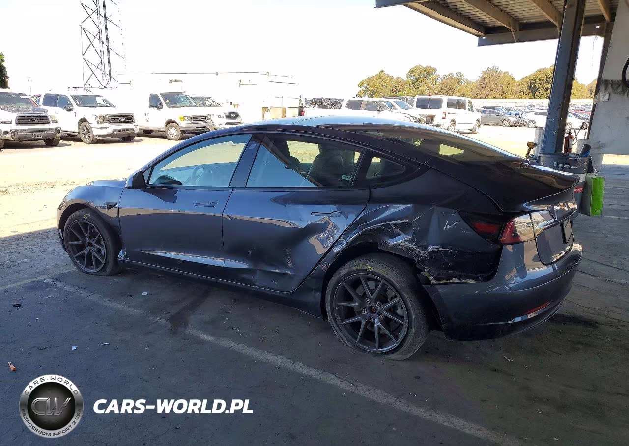 2023 Tesla Model 3 VIN:5YJ3E1EA8PF447337 - 2