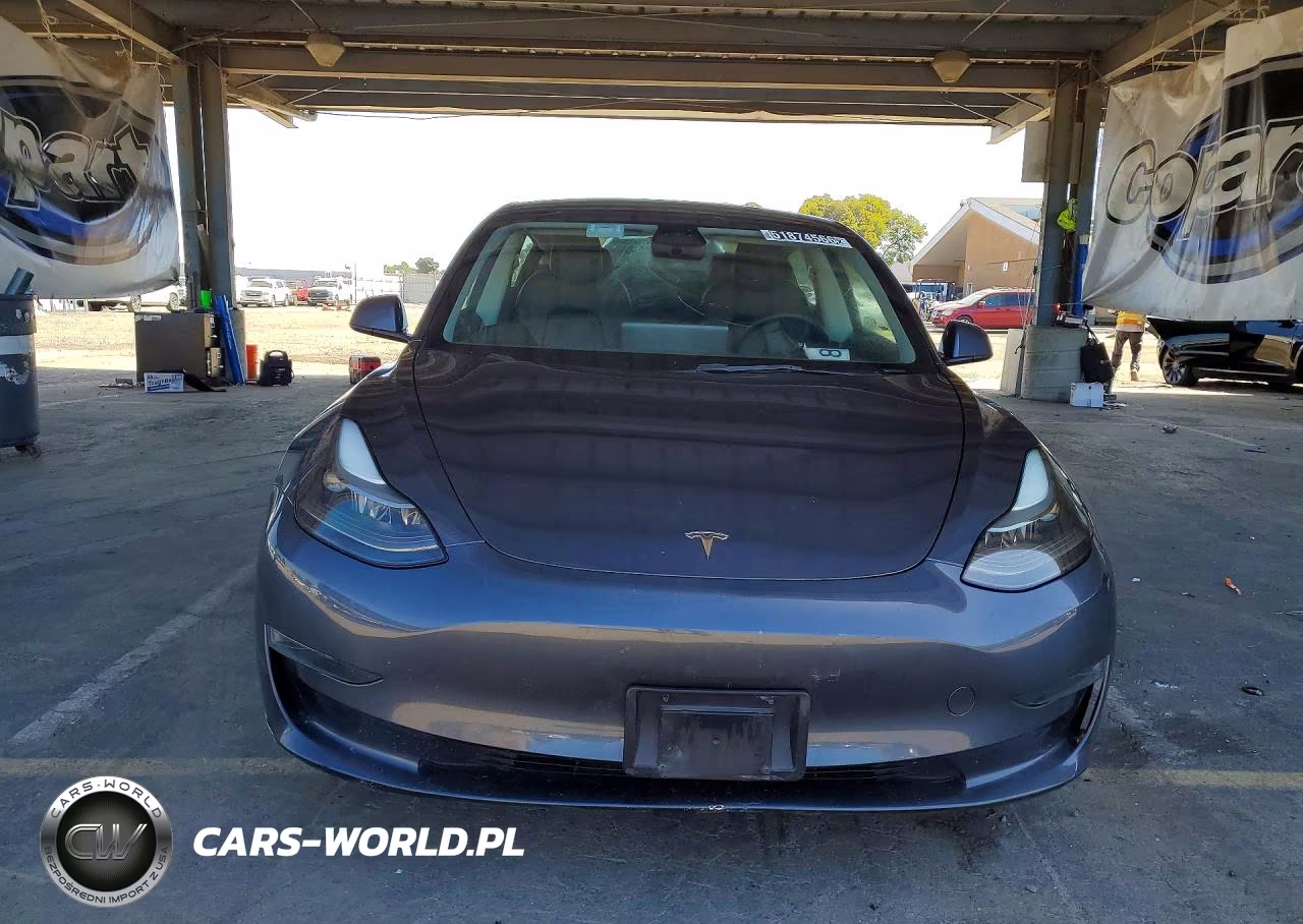 2023 Tesla Model 3 VIN:5YJ3E1EA8PF447337 - 5
