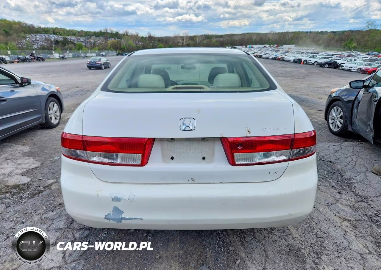 2004 Honda Accord Lx VIN:JHMCM56384C036375 - 6