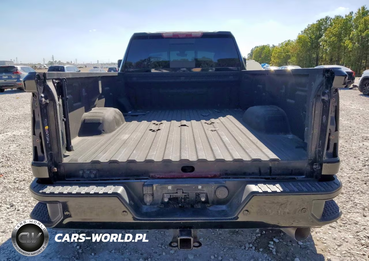 2023 GMC Sierra K3500 Denali VIN:1GT49WEYXPF145515 - 6