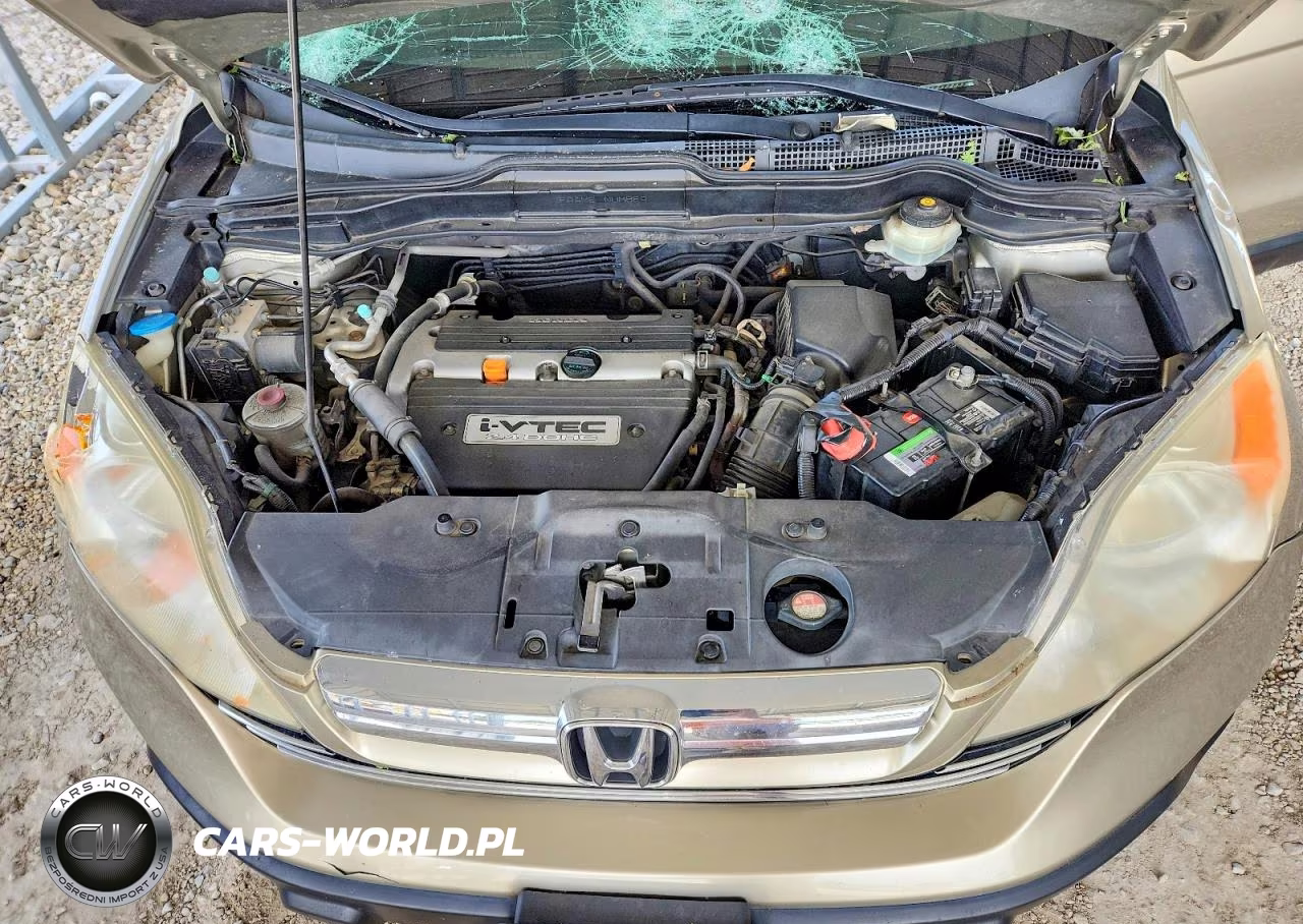 2009 Honda Cr-V Exl VIN:JHLRE38729C005369 - 12