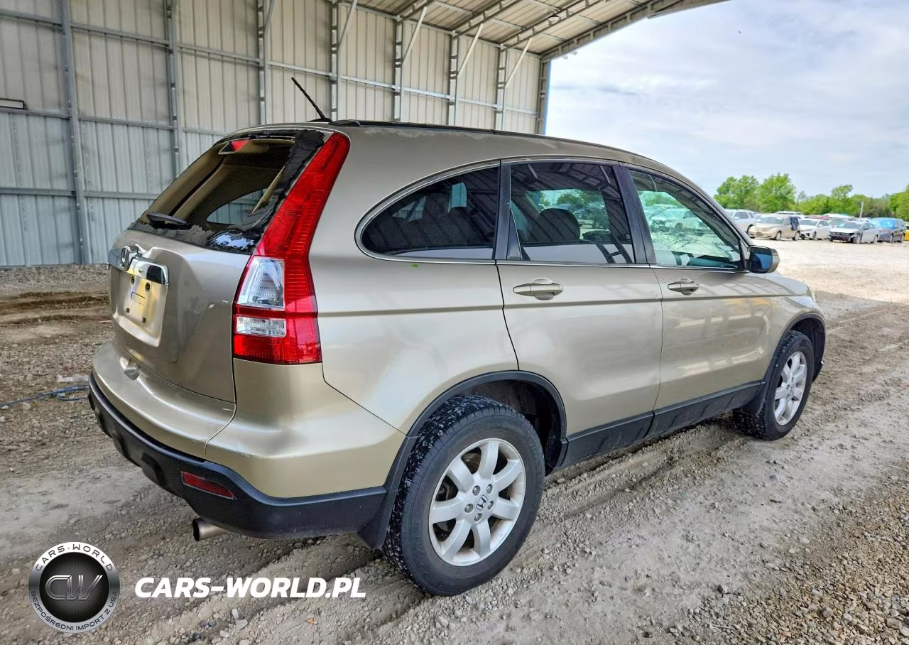 2009 Honda Cr-V Exl VIN:JHLRE38729C005369 - 3