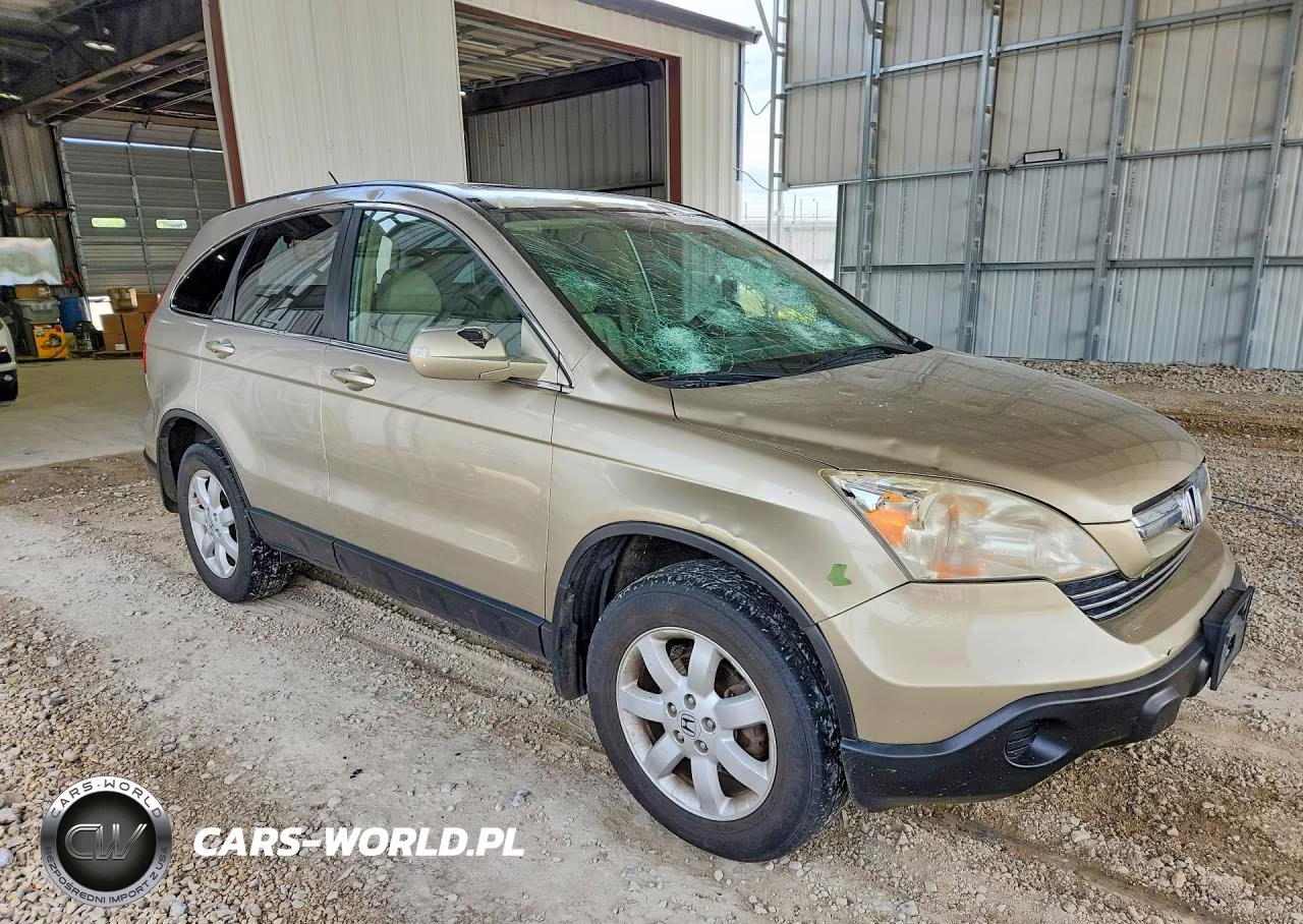 2009 Honda Cr-V Exl VIN:JHLRE38729C005369 - 4