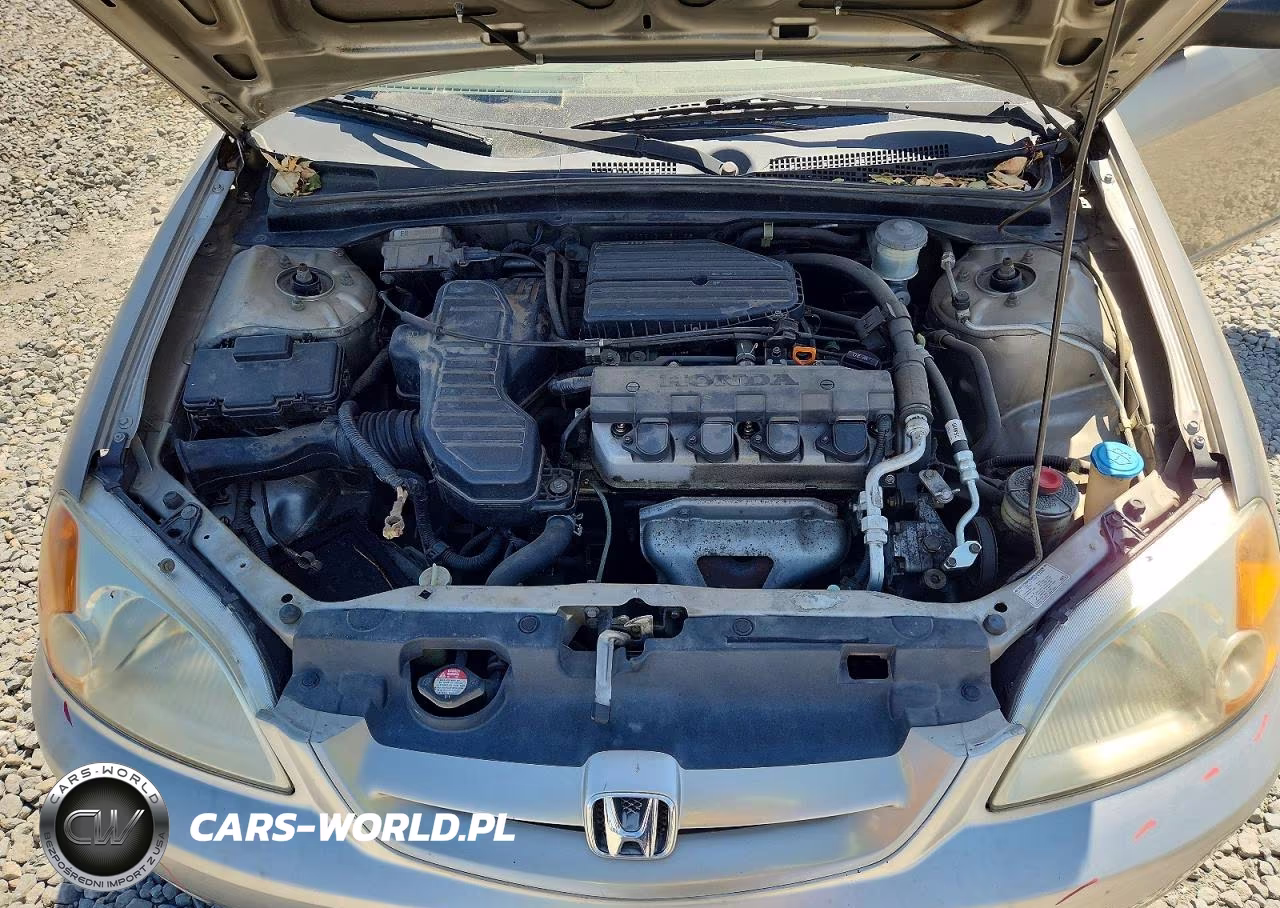 2003 Honda Civic Lx VIN:1HGEM22543L031058 - 11
