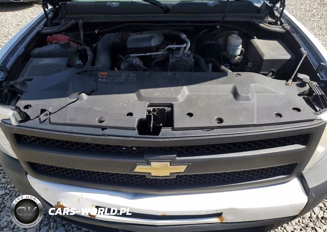 2011 Chevrolet Silverado C1500 VIN:1GCRCPEX5BZ430330 - 11