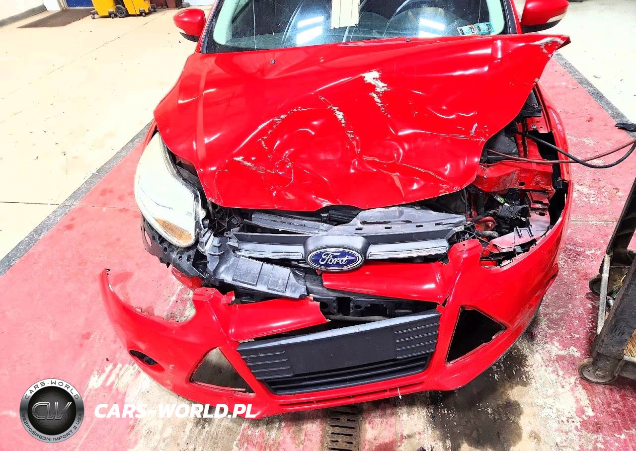 2014 Ford Focus Se VIN:1FADP3F23EL295579 - 11