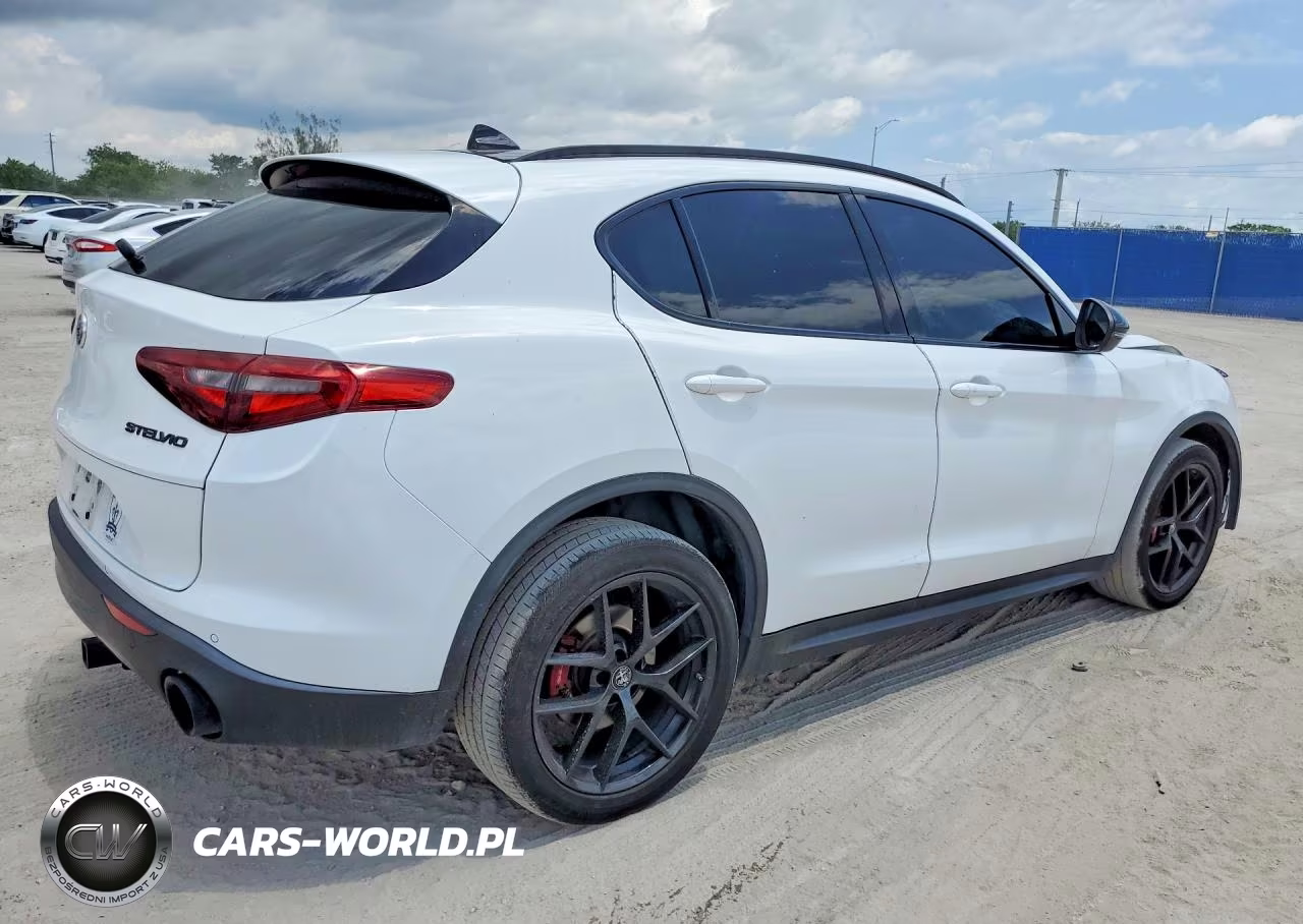 2019 Alfa Romeo Stelvio Ti VIN:ZASPAKBN8K7C57893 - 3
