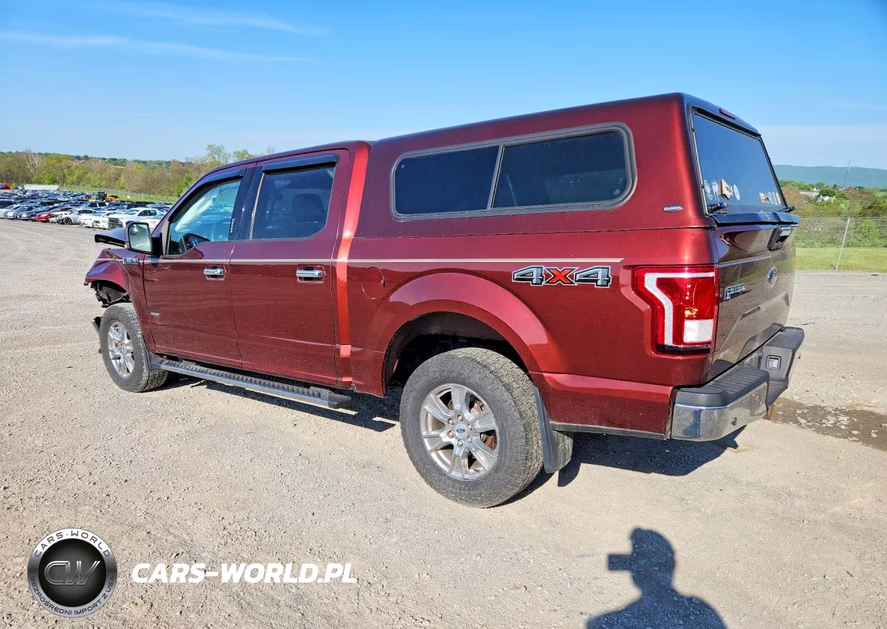 2015 Ford F150 Supercrew VIN:1FTEW1EG9FFB65728 - 2