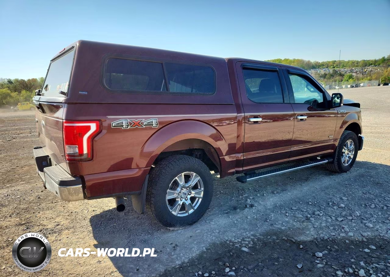 2015 Ford F150 Supercrew VIN:1FTEW1EG9FFB65728 - 3