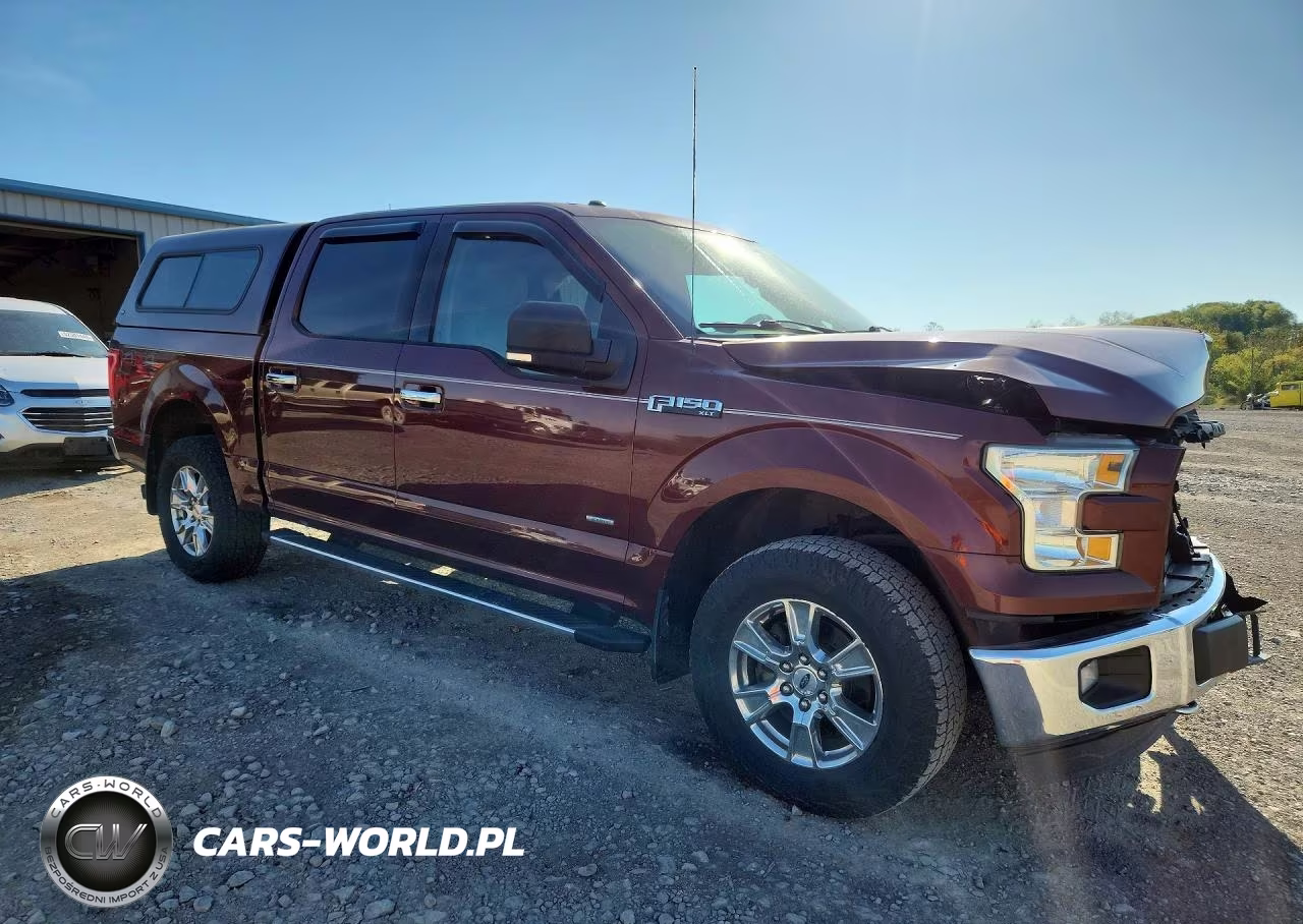 2015 Ford F150 Supercrew VIN:1FTEW1EG9FFB65728 - 4