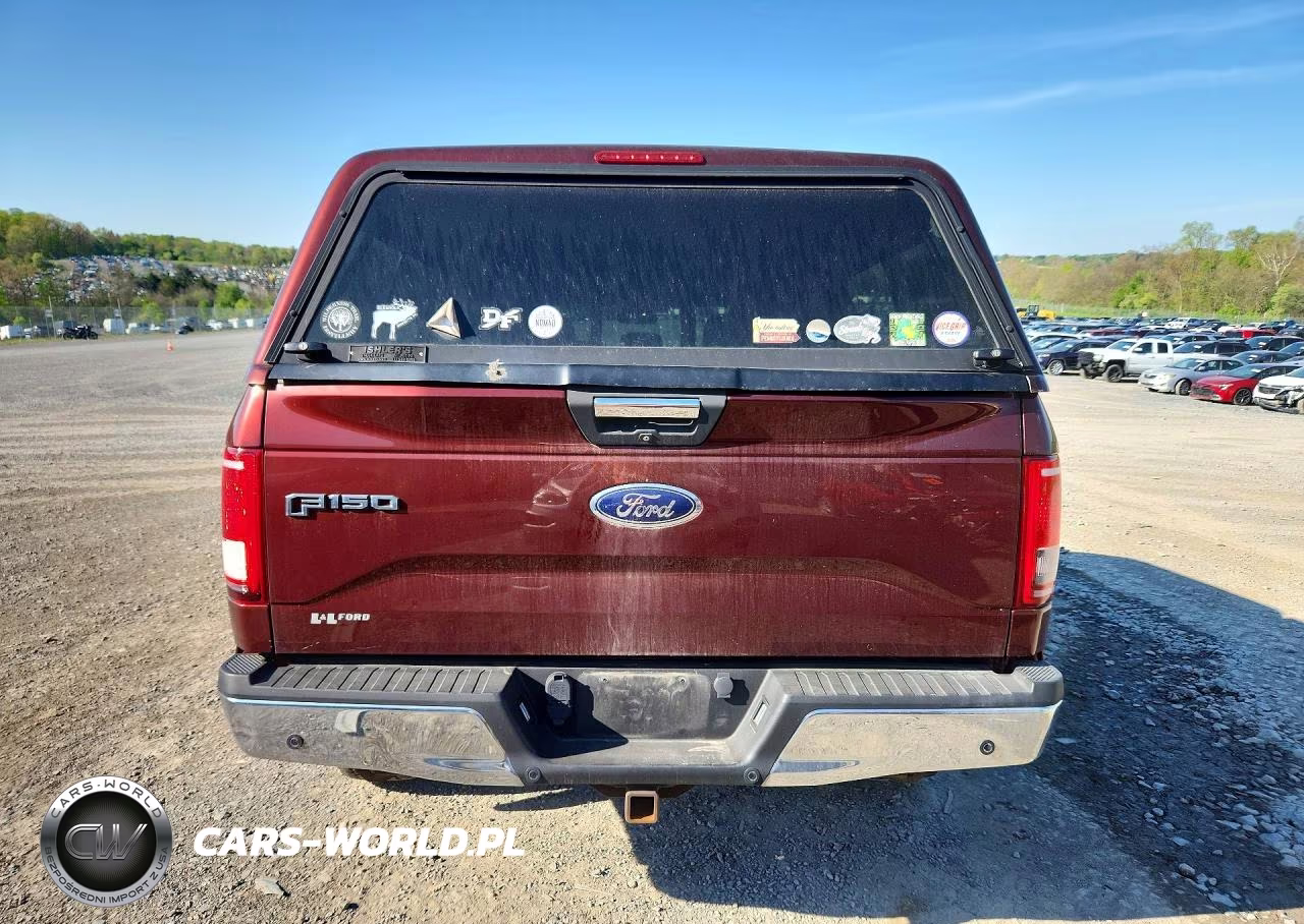 2015 Ford F150 Supercrew VIN:1FTEW1EG9FFB65728 - 6
