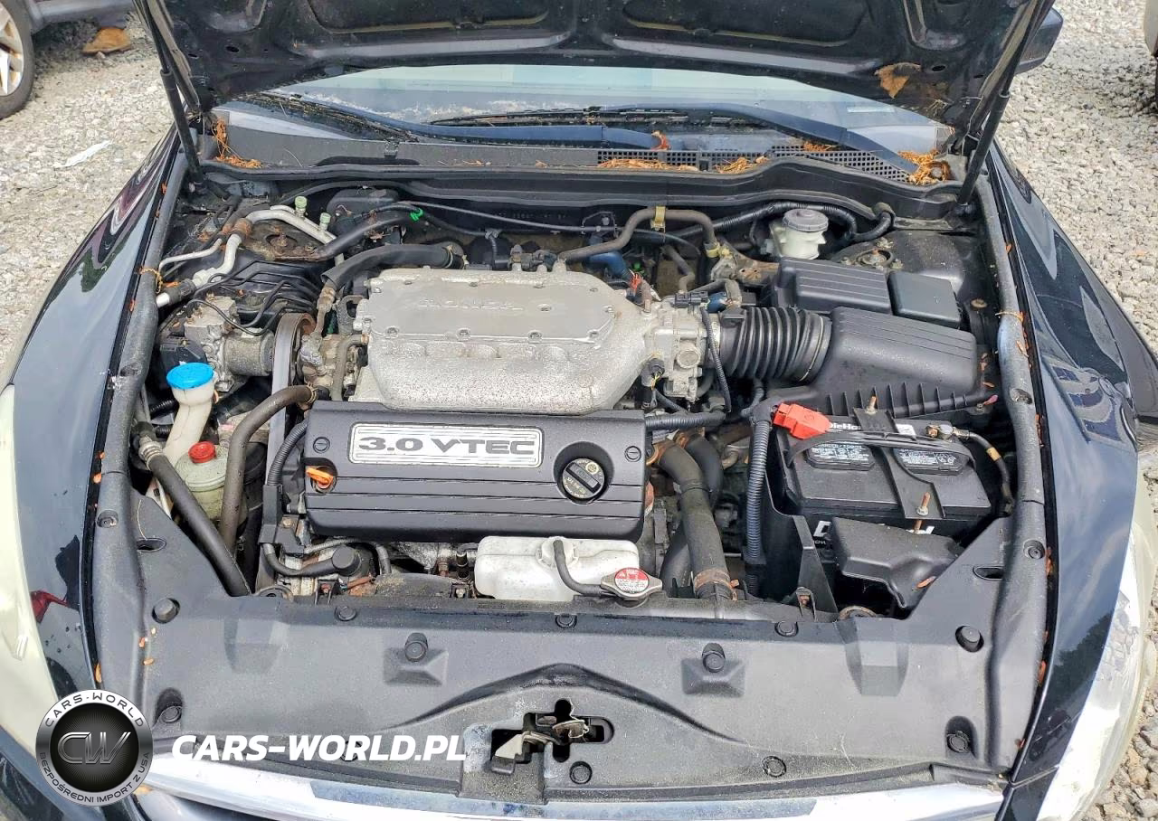 2007 Honda Accord Ex VIN:1HGCM66567A057039 - 11