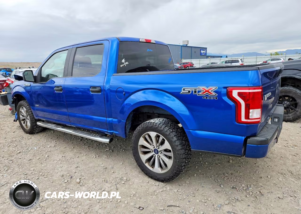 2017 Ford F150 Supercrew VIN:1FTEW1EPXHFA25819 - 2