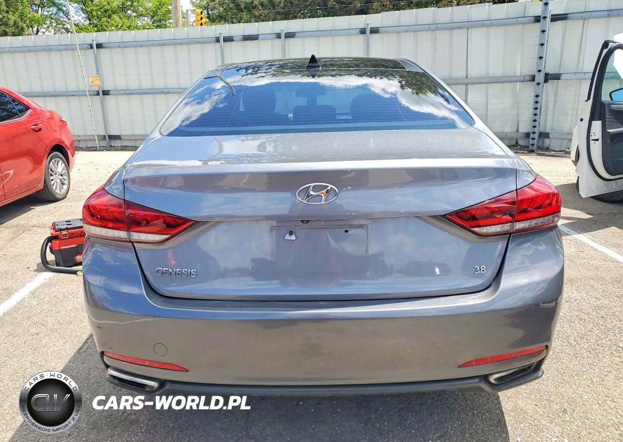 2015 Hyundai Genesis 3.8L VIN:KMHGN4JE3FU015221 - 6