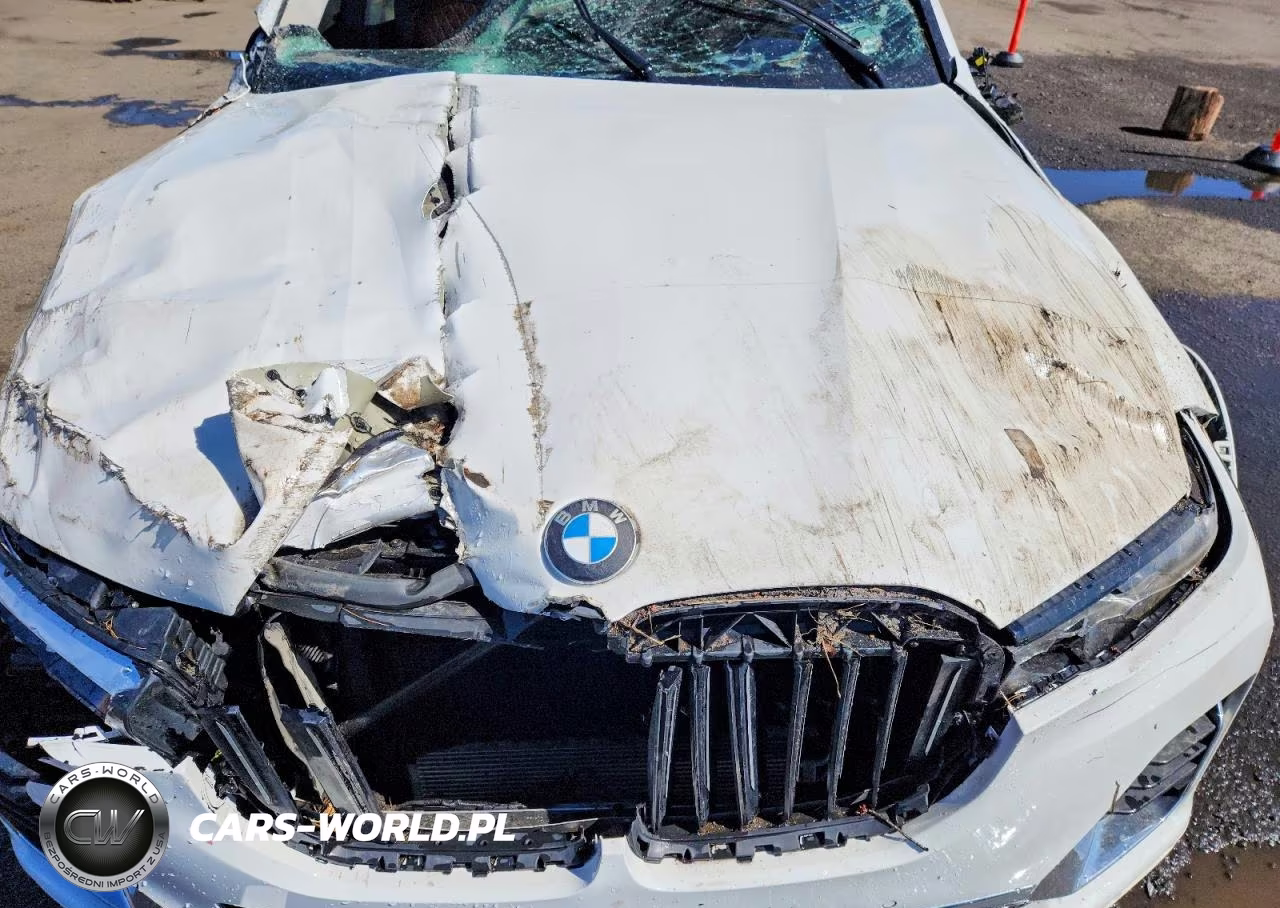 2019 BMW X7 xDrive40I VIN:5UXCW2C56KL086896 - 12