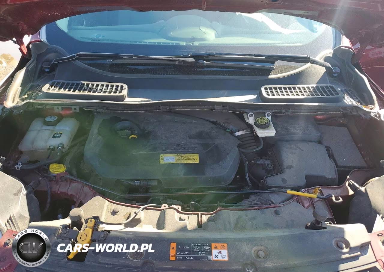 2013 Ford Escape Se VIN:1FMCU0GX9DUC77583 - 12
