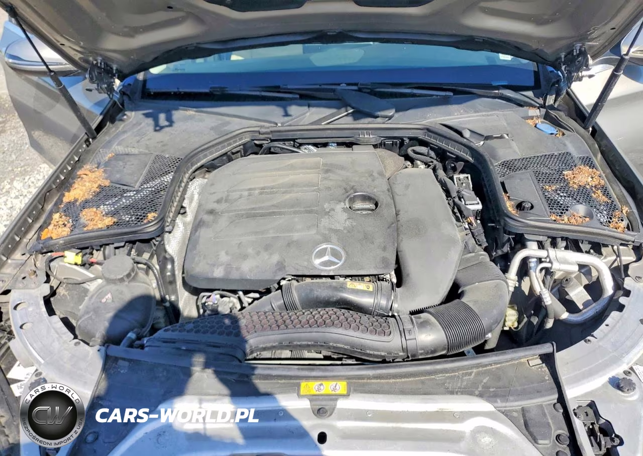 2020 Mercedes-Benz C 300 VIN:W1KWF8DB8LR601004 - 11
