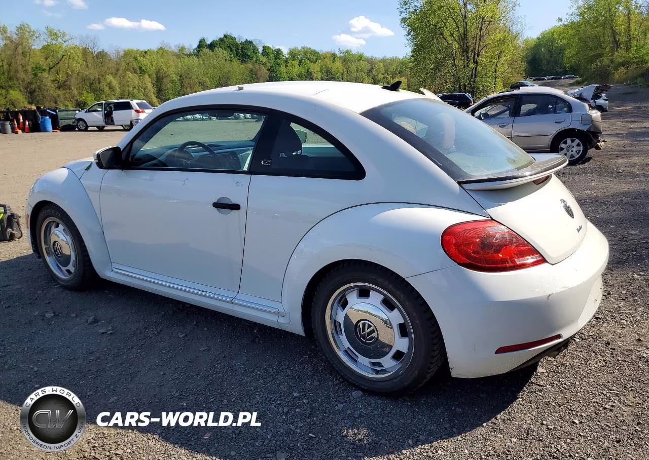 2016 Volkswagen Beetle 1.8T VIN:3VWF17AT9GM638664 - 2
