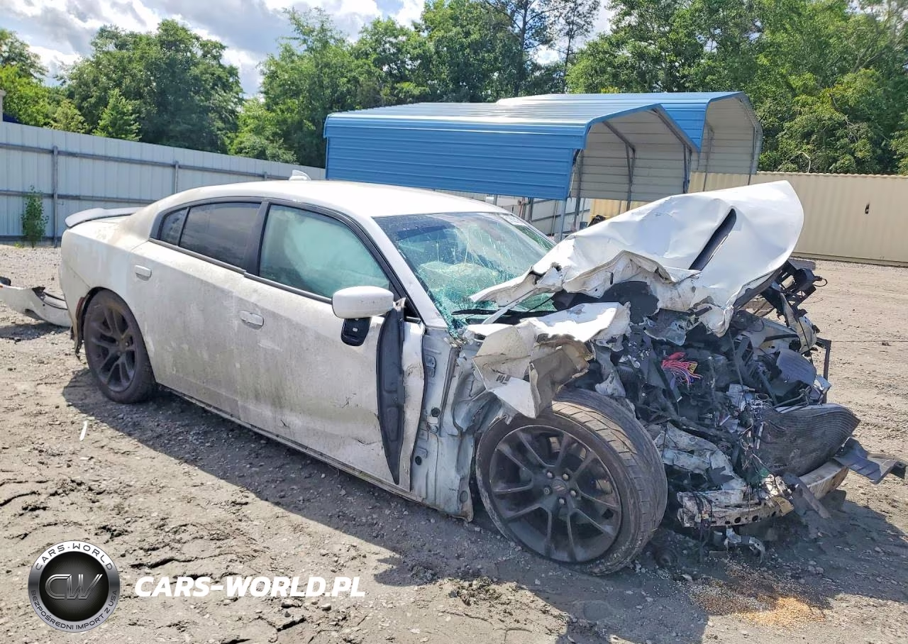 2020 Dodge Charger Scat Pack VIN:2C3CDXGJ5LH255031 - 4