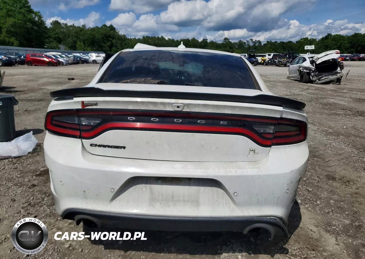 2020 Dodge Charger Scat Pack VIN:2C3CDXGJ5LH255031 - 6