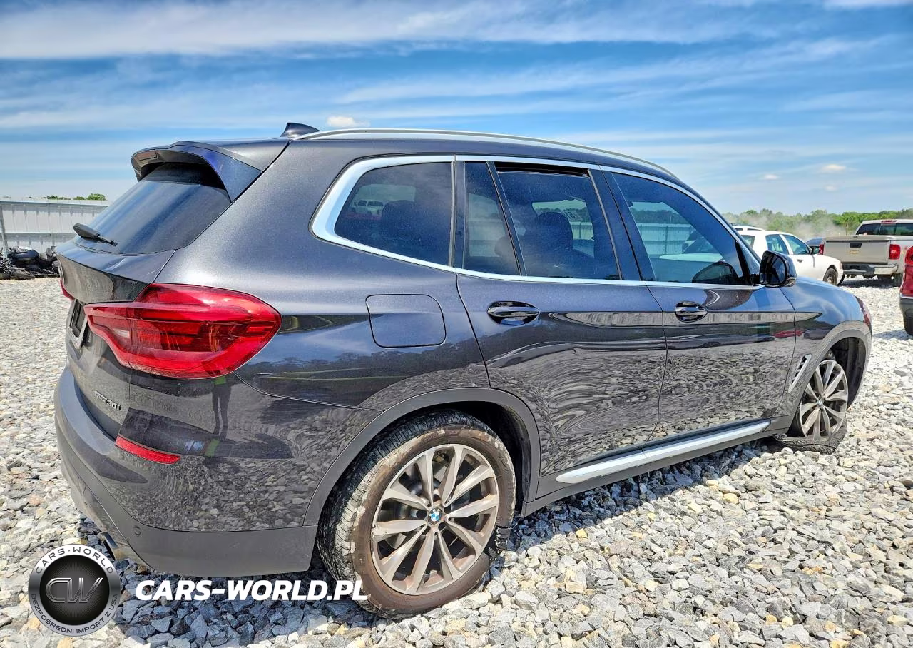2019 BMW X3 Sdrive30I VIN:5UXTR7C56KLR51483 - 3