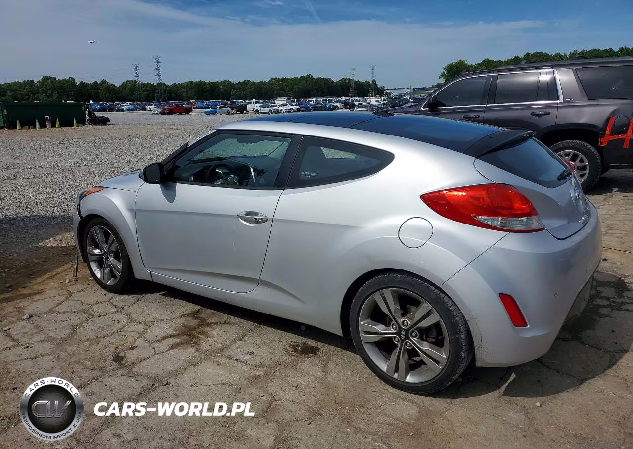 2013 Hyundai Veloster Base VIN:KMHTC6AD8DU170271 - 2