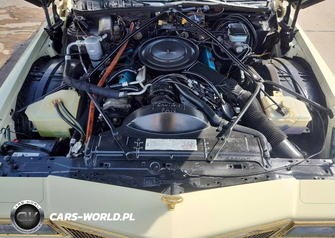 1981 Cadillac Deville VIN:1G6AD4793B9221338 - 11