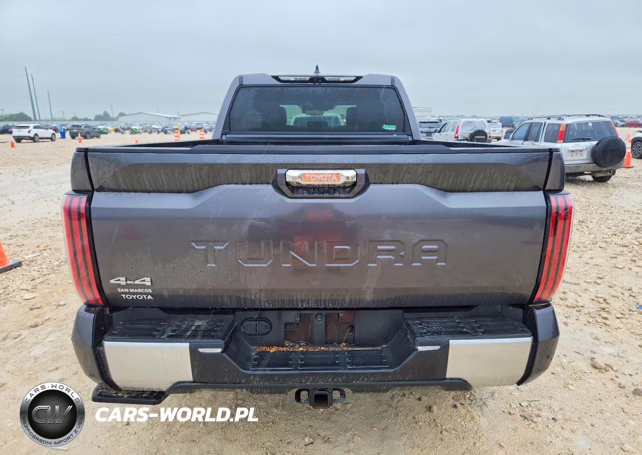 2024 Toyota Tundra Crewmax Limited VIN:5TFJA5EC0RX023882 - 6