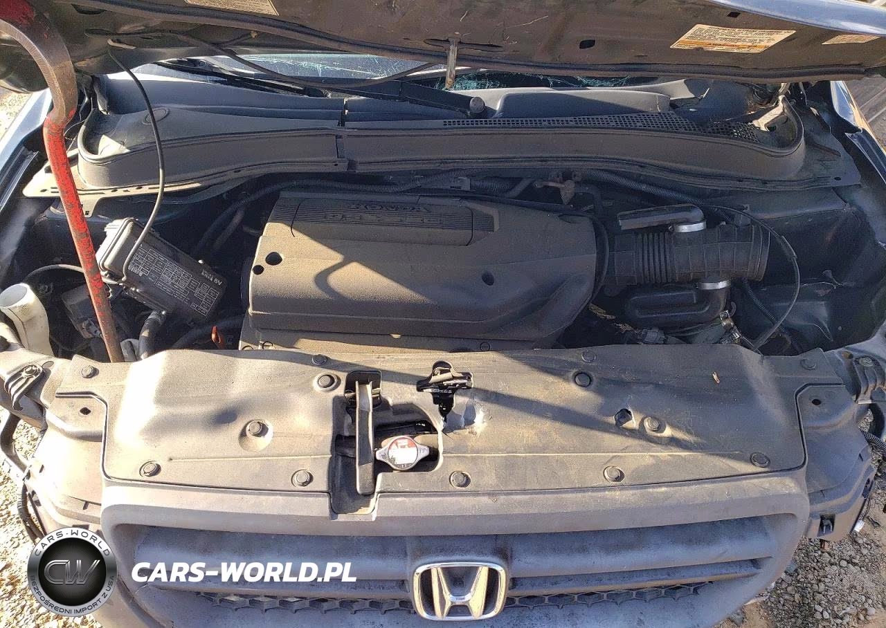 2004 Honda Pilot Exl VIN:5FNYF18674B005266 - 12