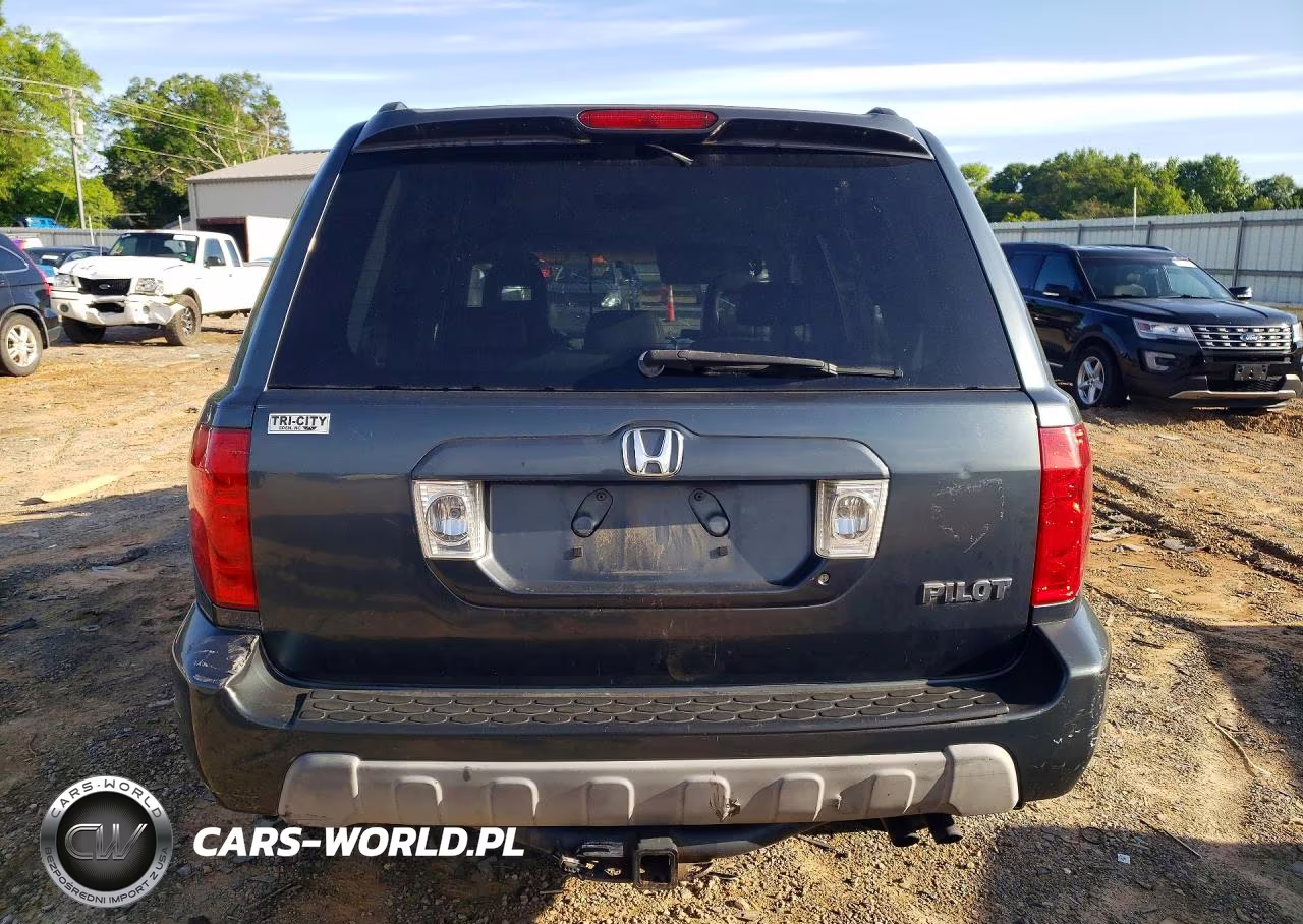 2004 Honda Pilot Exl VIN:5FNYF18674B005266 - 6